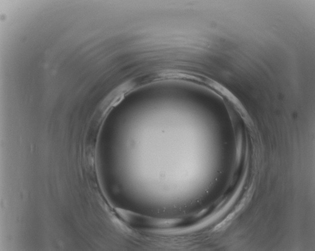 X0000062930809200601202025