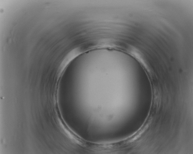 X0000062930810200601202025