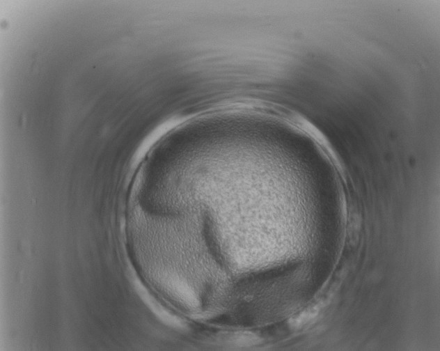 X0000062930811200601202025