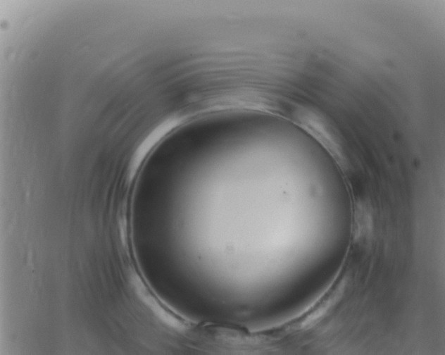 X0000062930812200601202025