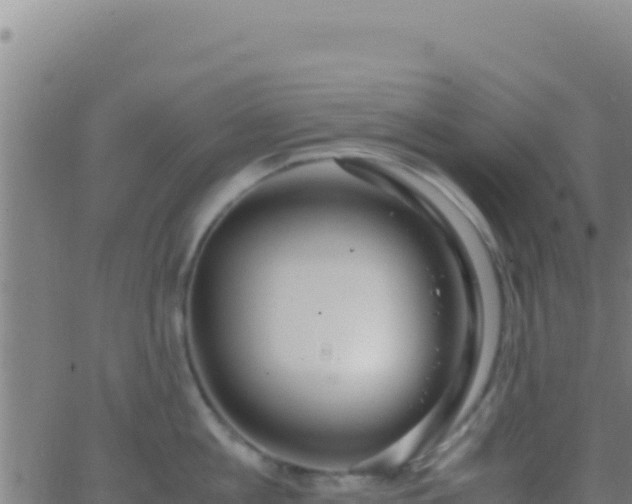 X0000062930813200601202025