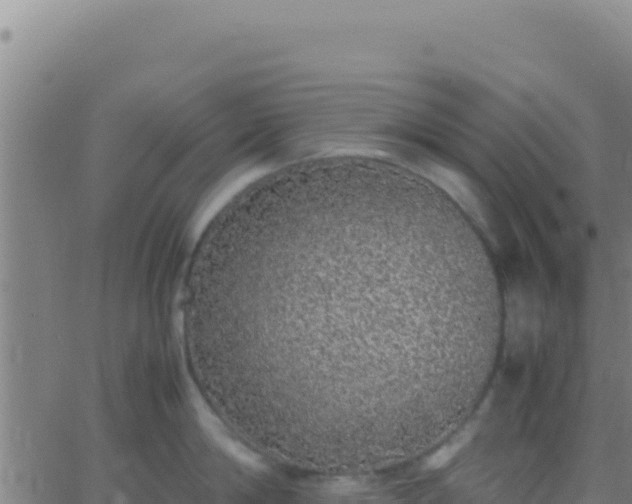 X0000062930814200601202025