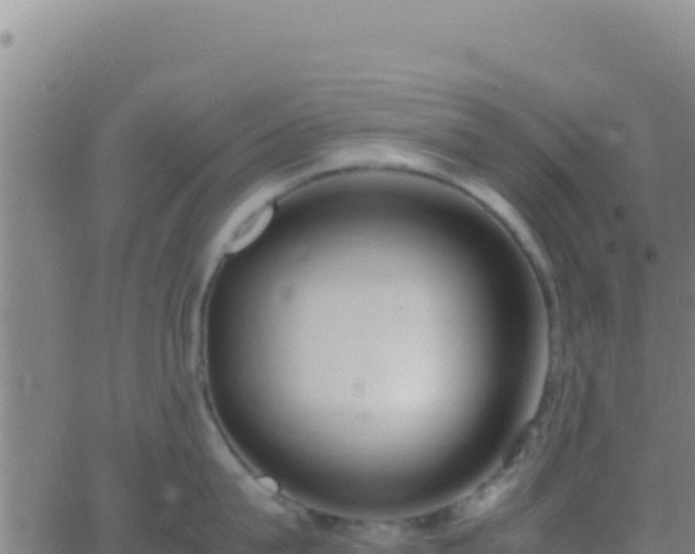 X0000062930815200601202025