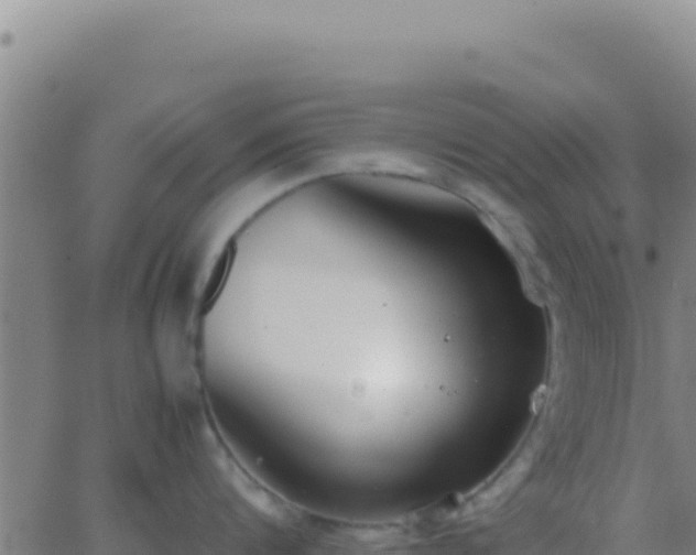 X0000062930816200601202025