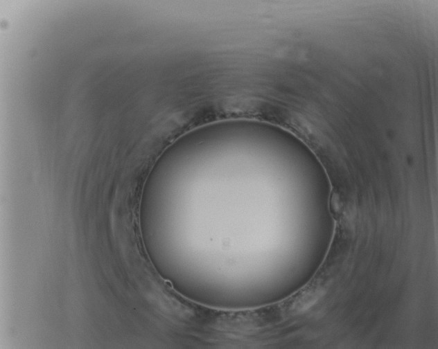 X0000062930817200601202024