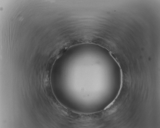 X0000062930818200601202024