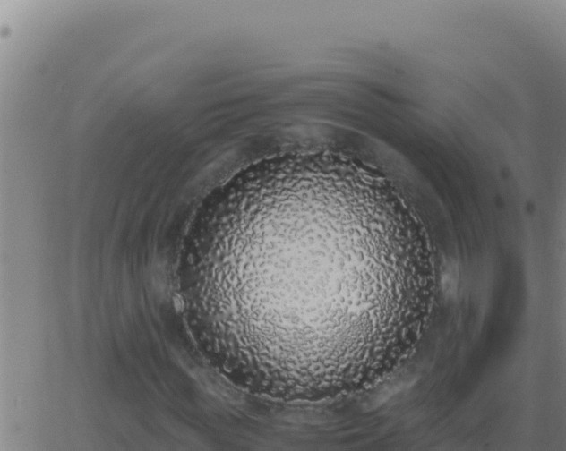 X0000062930819200601202024