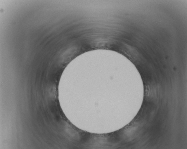 X0000062930820200601202024