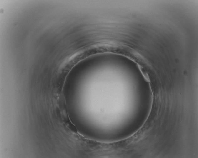 X0000062930822200601202024