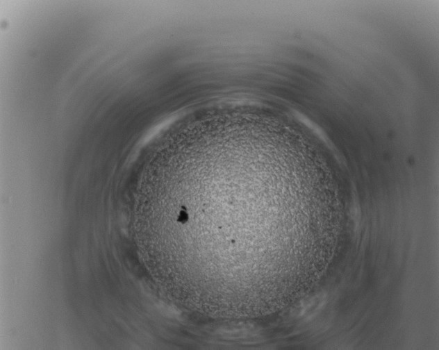 X0000062930823200601202024