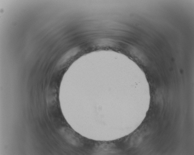 X0000062930824200601202024