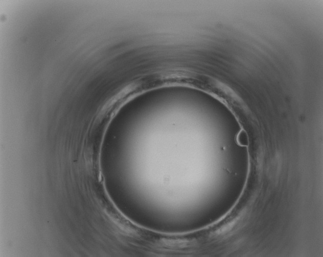 X0000062930825200601202024