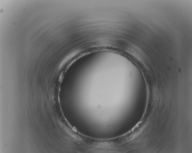 X0000062930826200601202024