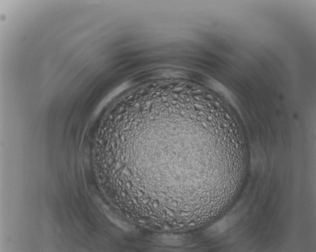 X0000062930827200601202024