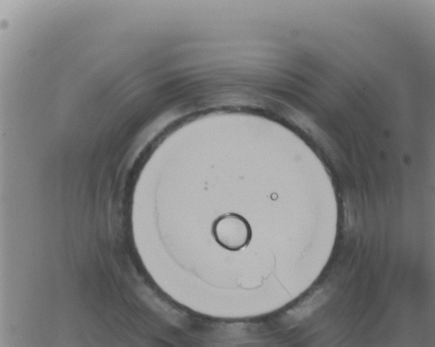 X0000062930828200601202024