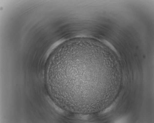 X0000062930831200601202024