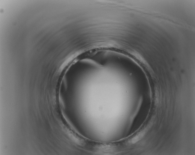 X0000062930834200601202024