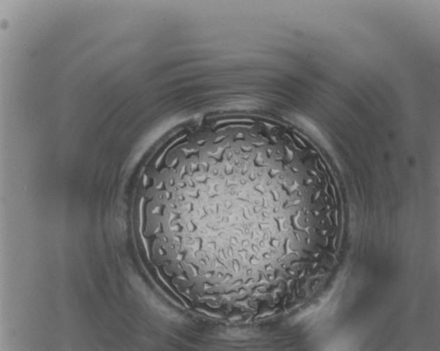 X0000062930835200601202025