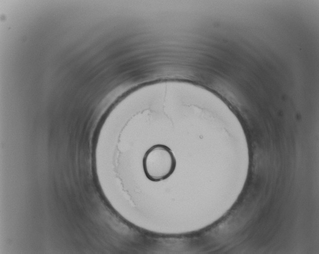 X0000062930836200601202025