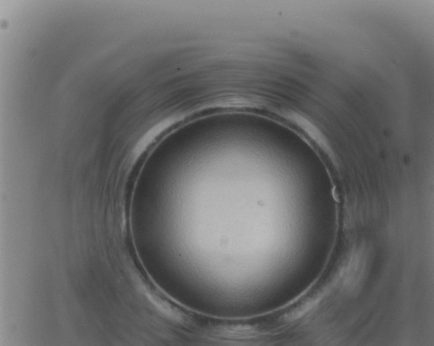 X0000062930837200601202025