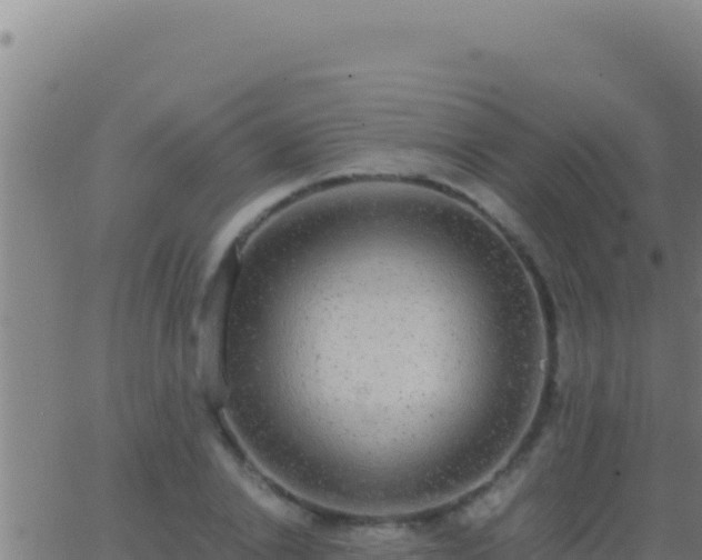 X0000062930838200601202025