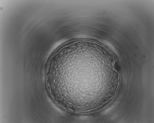 X0000062930839200601202025