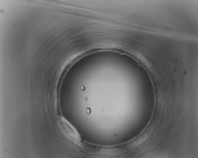 X0000062930840200601202025