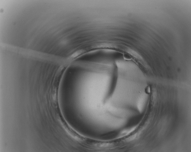 X0000062930841200601202025