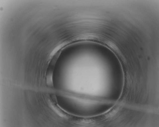 X0000062930842200601202025