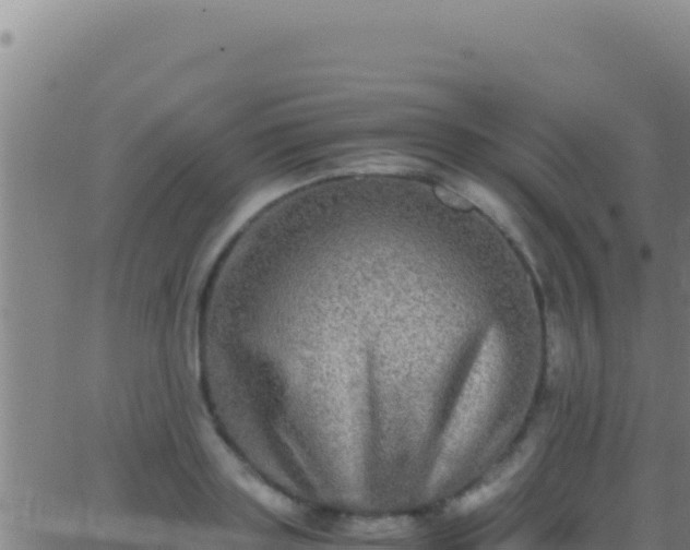 X0000062930843200601202025