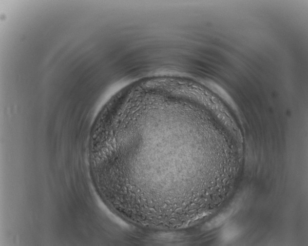 X0000062930847200601202025