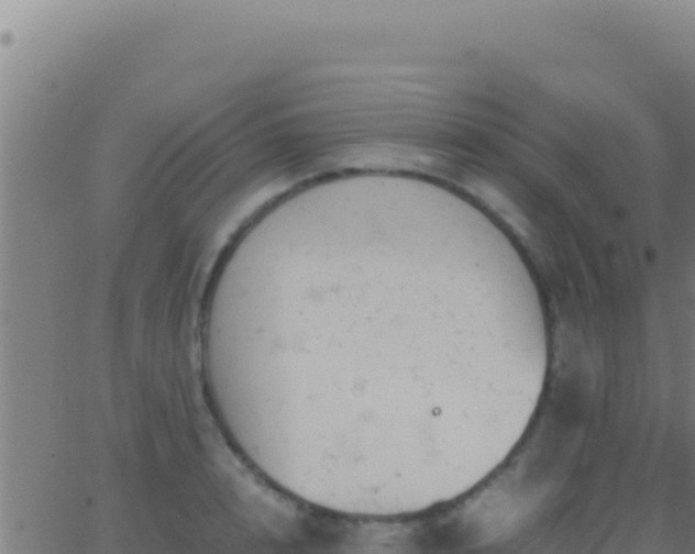 X0000062930848200601202025