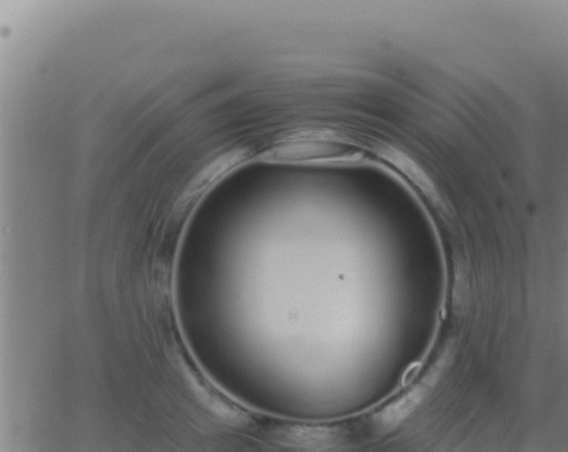 X0000062930849200601202025