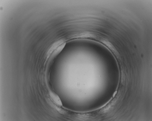 X0000062930850200601202025