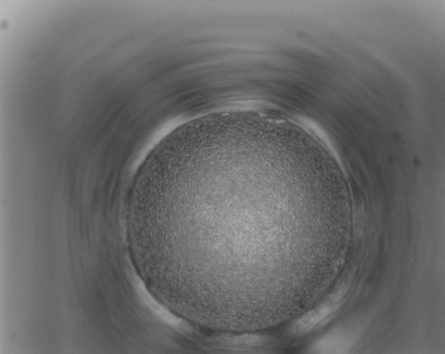 X0000062930851200601202025