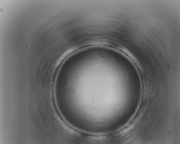 X0000062930853200601202025