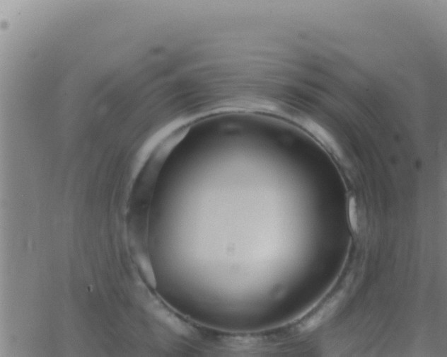 X0000062930854200601202025