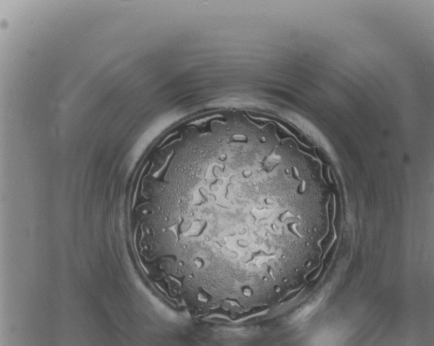 X0000062930855200601202025