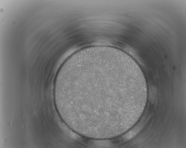 X0000062930856200601202025