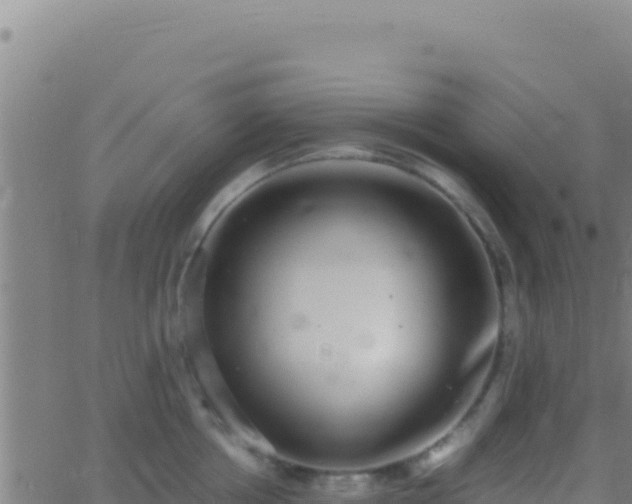 X0000062930858200601202025