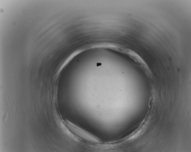 X0000062930860200601202025