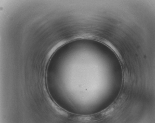 X0000062930861200601202025