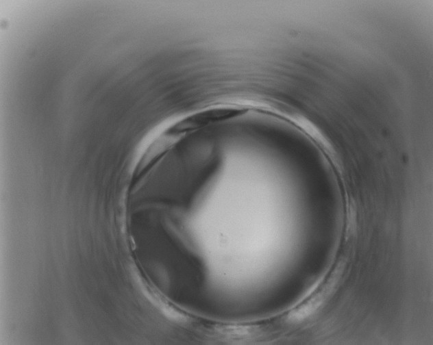 X0000062930862200601202025