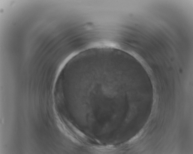 X0000062930864200601202025