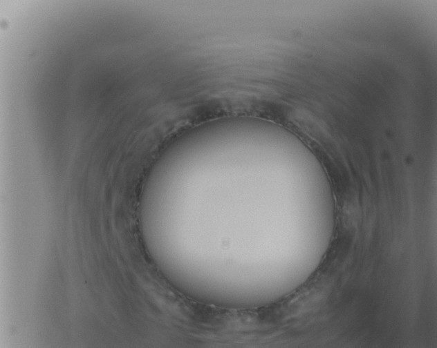 X0000062930865200601202024