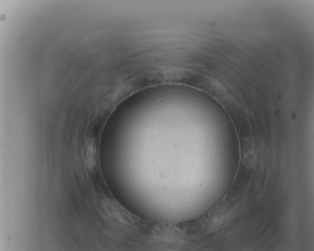 X0000062930866200601202024