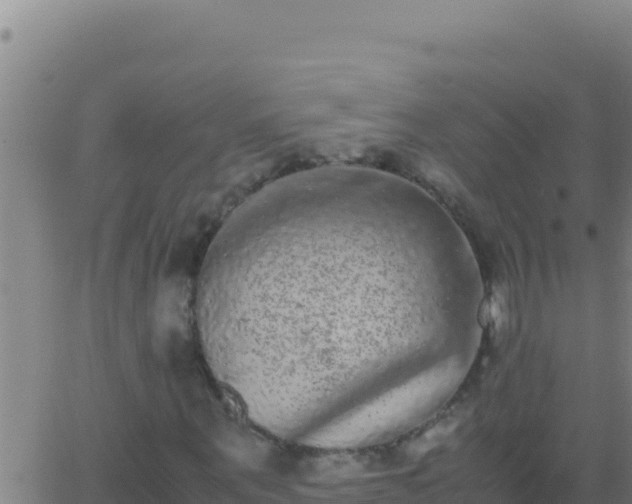 X0000062930867200601202024