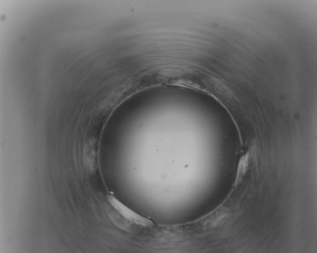 X0000062930868200601202024