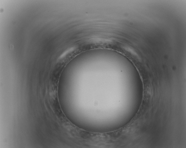 X0000062930869200601202024