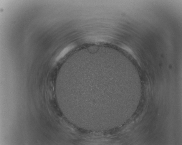 X0000062930871200601202024